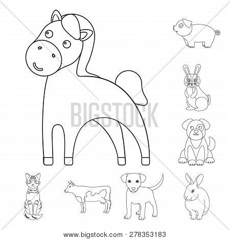 Vector Illustration Of Animal And Habitat Icon. Set Of Animal And Farm Stock Vector Illustration.