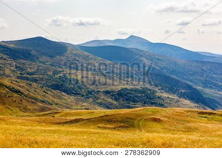 Beautiful Landscape In Carpathian Mountains.