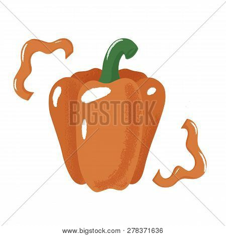 Orange Bell Pepper, Paprika - Whole And Pieces, Textured Vector Illustration Isolated On White Backg