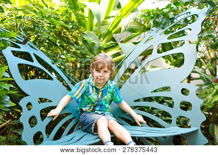 Little Blond Preschool Kid Boy Discovering Flowers And Butterflies At Botanic Garden. Schoolchild In