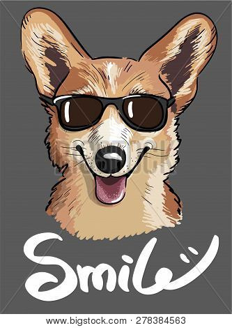 Stylish Print Of Welsh Corgi Dog Wearing Sunglasses In Sketch Style.