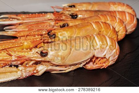 Cooked Langoustines , Nephrops Norvegicus, Dublin Bay Prawn Or Norway Lobsters On Black Slate