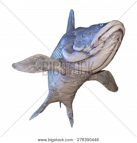 3D Rendering Mawsonia Fish On White
