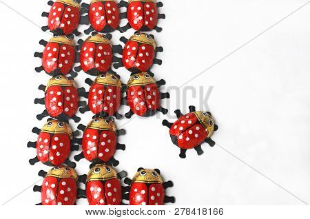 Breaking New Grounds, Ladybug Leaves Its Community And Chooses A New Path