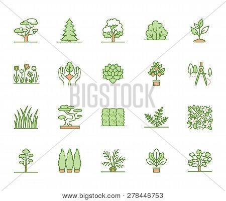 Trees Flat Line Icons Set. Plants, Landscape Design, Fir Tree, Succulent, Privacy Shrub, Lawn Grass,