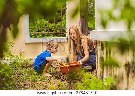 Beautiful Young Woman And Her Cute Son Planting Seedlings In Bed In The Domestic Garden At Summer Da