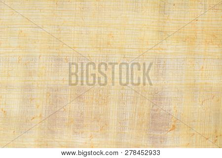 Real Old Payrus Paper Background And Texture Number 13. Close Up Macro.