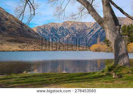 Lake Pearson / Moana Rua Wildlife Refuge, South Island, New Zealand