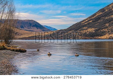 Lake Pearson / Moana Rua Wildlife Refuge, South Island, New Zealand