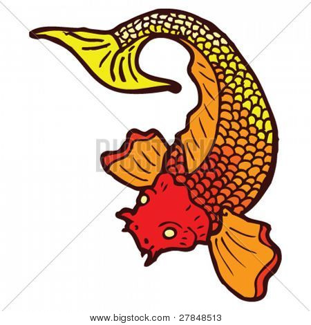 koi carp tattoo drawing