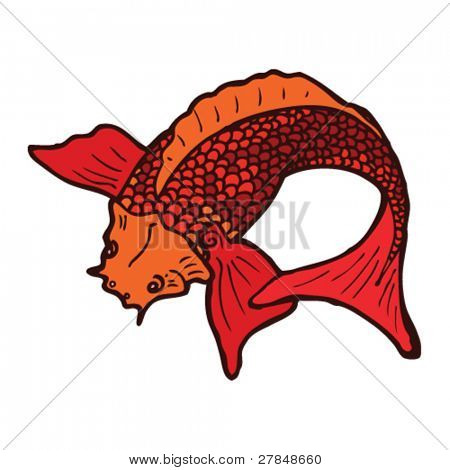 koi carp tattoo drawing