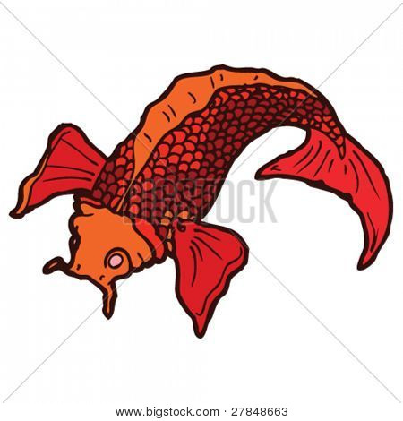 koi carp tattoo drawing