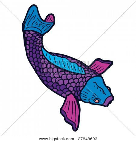 koi carp tattoo drawing
