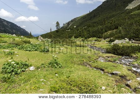 Summer Landscape Of Malyoviska River Valley, Rila Mountain, Bulgaria