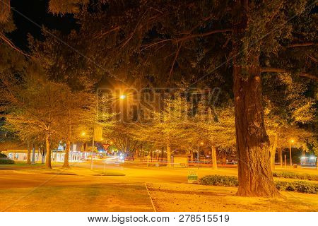 Hanmer Springs, New Zealand - October 8 2018; Tree Lined Amuri Avenne In The Spa Tourist Town With T