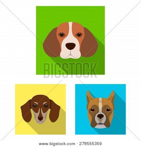Vector Design Of Cute And Puppy Logo. Set Of Cute And Animal Stock Symbol For Web.