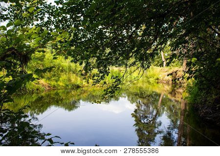 A Small River. Around A Lot Of Grass. Tree Branches Hang Over The River. The Leaves And Grass Are Gr