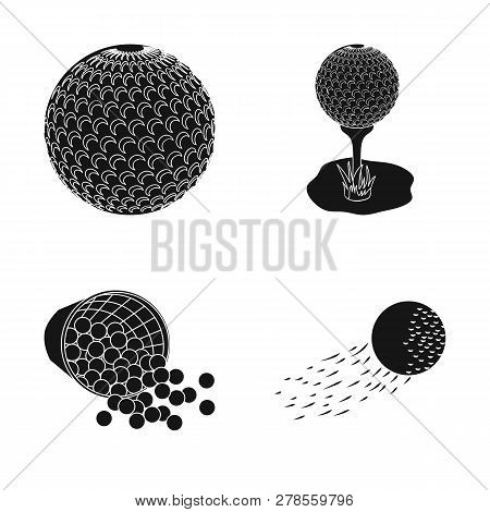Vector Design Of Ball And Soccer Sign. Set Of Ball And Basketball Vector Icon For Stock.