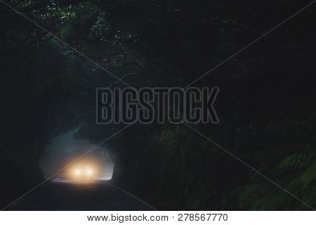 Car Light In Misty Forest In Anaga Mountains On Tenerife.