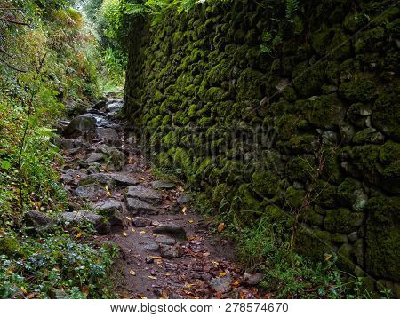 Camino Track Along A Moss Covered Wall On A Rainy Day In Autumn - Cee, Galicia, Spain