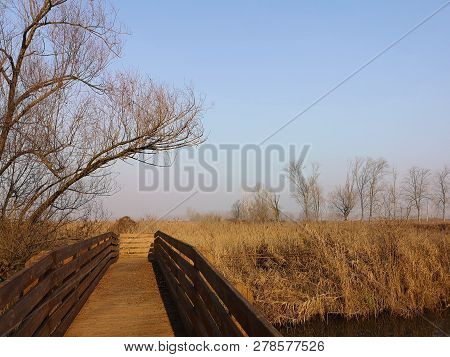 Mantua Nature Park Wooden Bridge For Pedestrian Crossing