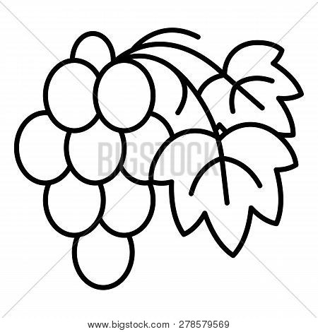 Cabernet Grape Icon. Outline Cabernet Grape Icon For Web Design Isolated On White Background