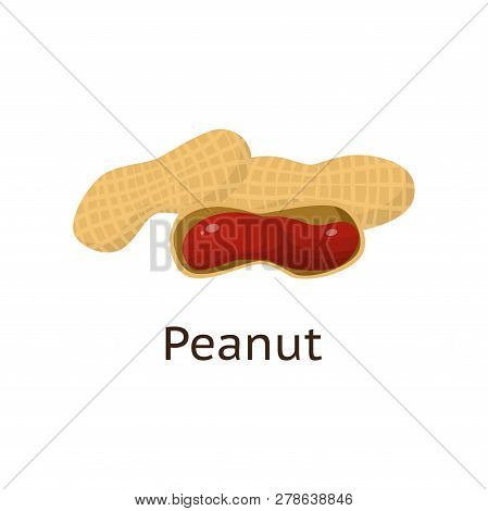 The Fruit Of The Plant Is A Hard-shelled Nut With An Edible Core.