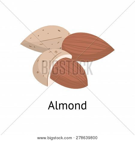 The Fruit Of The Plant Is A Hard-shelled Nut With An Edible Core.