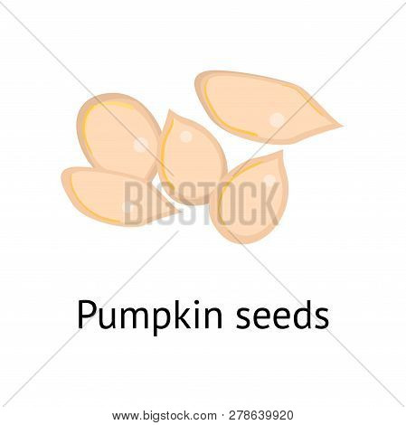 The Fruit Of The Plant Is A Hard-shelled Nut With An Edible Core.