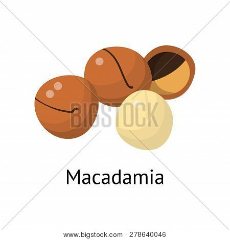 The Fruit Of The Plant Is A Hard-shelled Nut With An Edible Core.