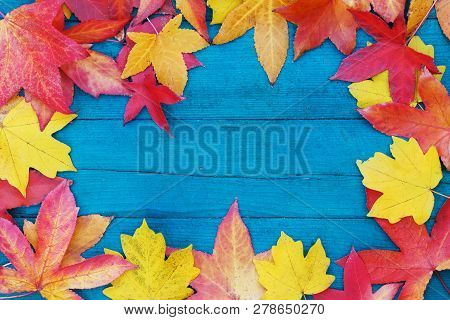 In Autumn, The Fallen Dry Leaves Of Yellow, Red, Orange Color Line The Perimeter Of The Frame On An