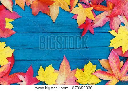In Autumn, The Fallen Dry Leaves Of Yellow, Red, Orange Color Line The Perimeter Of The Frame On An