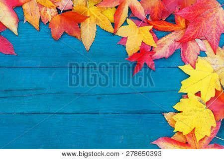 In Autumn, The Fallen Dry Leaves Of Yellow, Red, Orange Color Line The Perimeter Of The Frame On An