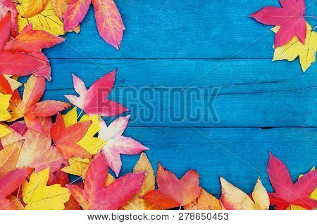 In Autumn, The Fallen Dry Leaves Of Yellow, Red, Orange Color Line The Perimeter Of The Frame On An