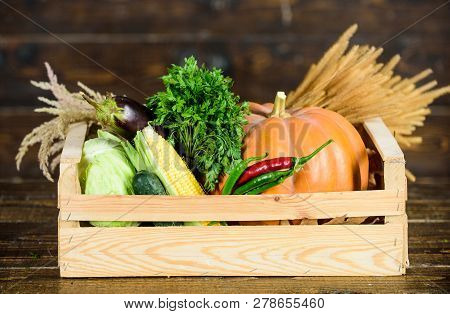 Delivery Service Fresh Vegetables From Farm. Box Or Basket Harvest Vegetables Wooden Background. Exc