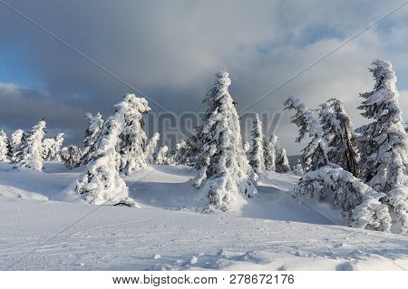 Beautiful Winter Landscape Krkonos On A Sunny Day. Winter Ridges Of The Krkonose Mountains. Trees Co