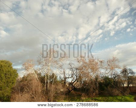 Riverbank Fall Scene With Dappled Clouds Landscape