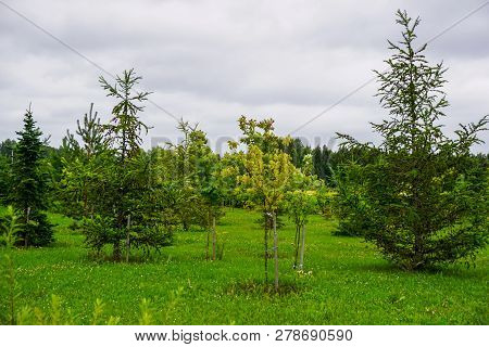 Garden Of Destinies Is A Monumental Architectural Ensemble On The Daugava Island In Koknese. Garden 