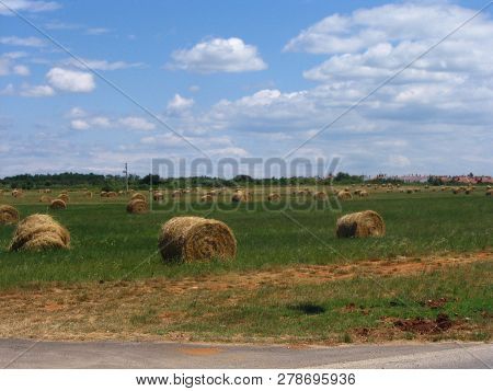 View Of Carefully Gathered Haystacks On A Sunny Meadow With Clouds On A Blue Sky. Summer Day.