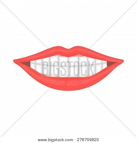 Isolated Object Of Body And Part Symbol. Set Of Body And Anatomy Vector Icon For Stock.