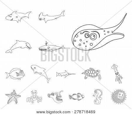 Isolated Object Of Sea And Animal Icon. Collection Of Sea And Marine Stock Symbol For Web.