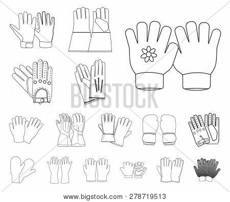 Vector Design Of Glove And Winter Logo. Set Of Glove And Equipment Vector Icon For Stock.