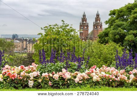 Salvia and begonia flowers in the flower beds or Kelvingrove park, Glasgow, Scotland, The Kelvingrove museum and the west end of the city can be seen in the distance. 