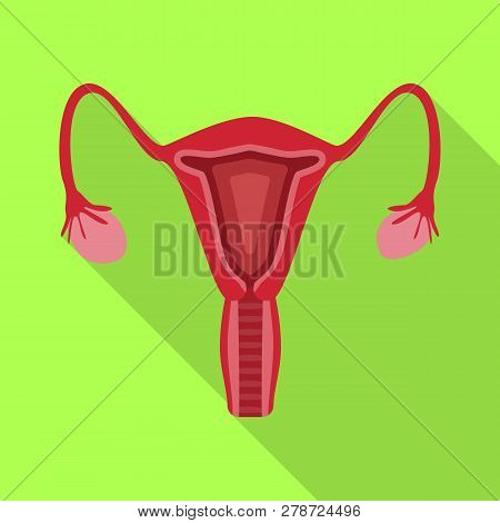 Vector Design Of Human And Health Icon. Collection Of Human And Scientific Vector Icon For Stock.