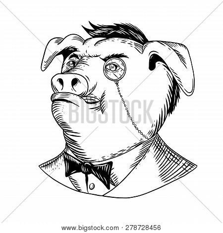 Drawing Sketch Style Illustration Of A Noble Aristocratic Pig Wearing A Monocle And Business Suit Wi