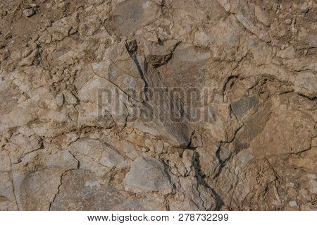 Light Texture Of The Crag With Cracks.