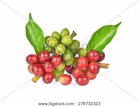 Fresh Coffee Beans With Green Leaver Isolated On White Background