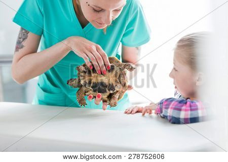 Girl looking at doctor examining turtle in veterinary clinic