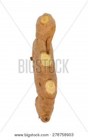 Fresh Ginger, Image Isolate On White Background, Herb Medical Concept. Fresh Vegetable