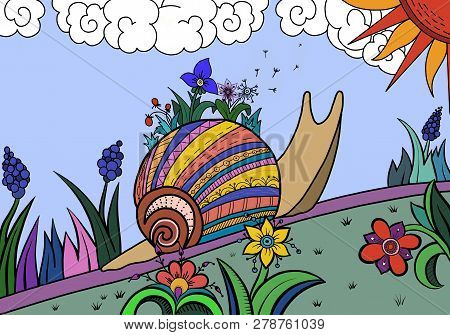 Snail Among The Flowers Illustration Multi Colored